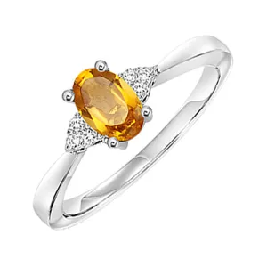 10KT White Gold & Diamond Classic Book 10K Birthstone Ensembles Fashion Ring  - 1/10 ctw