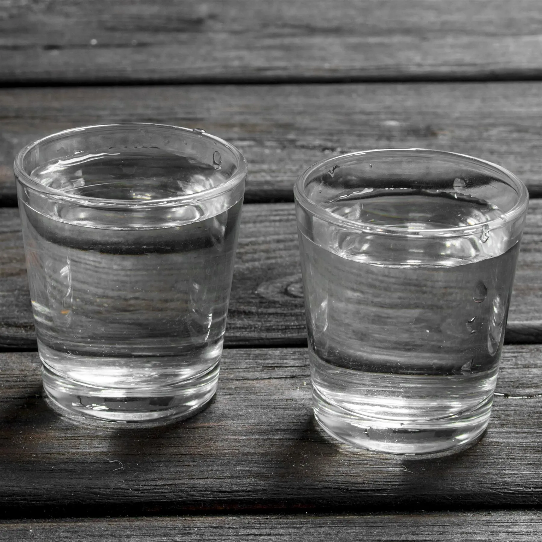 12 Pieces Shot Glass Appetizers
