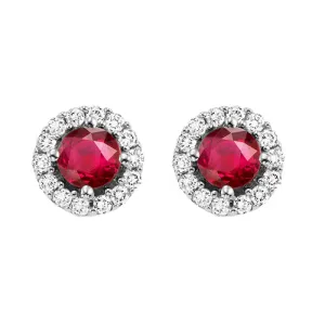 14KT White Gold & Diamond Classic Book Color Ensembles Fashion Earrings  - 1/8 ctw