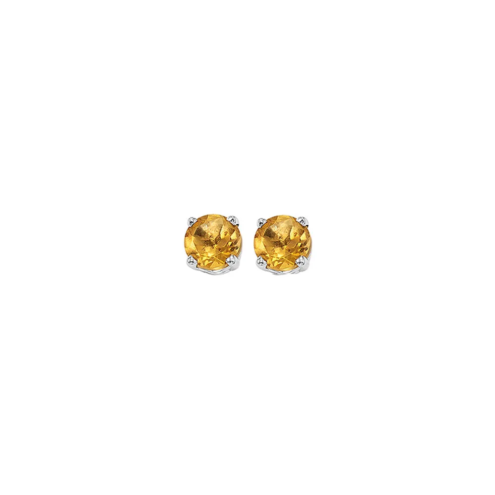 14KT White Gold Classic Book Color Stud Earrings