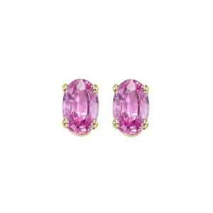 14KT Yellow Gold Stud Earrings