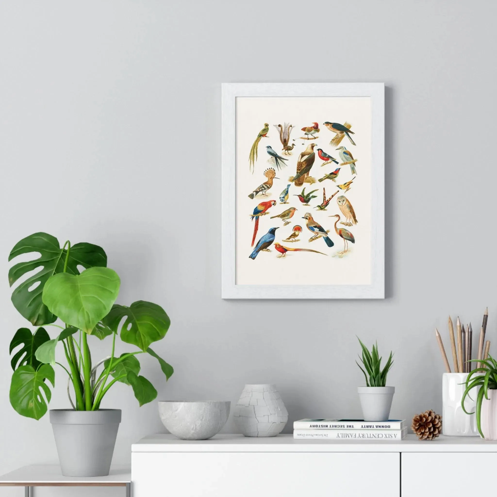 22 Bird Species Premium Framed Wall Art
