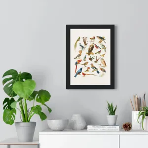 22 Bird Species Premium Framed Wall Art