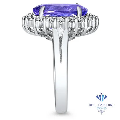 5.45ct Oval Tanzanite Ring with Diamond Halo in 14K White Gold