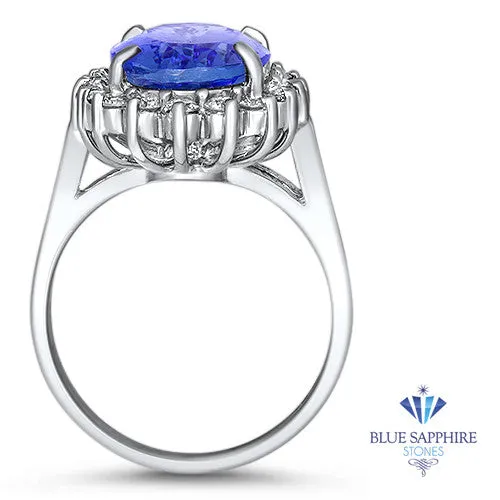 5.45ct Oval Tanzanite Ring with Diamond Halo in 14K White Gold