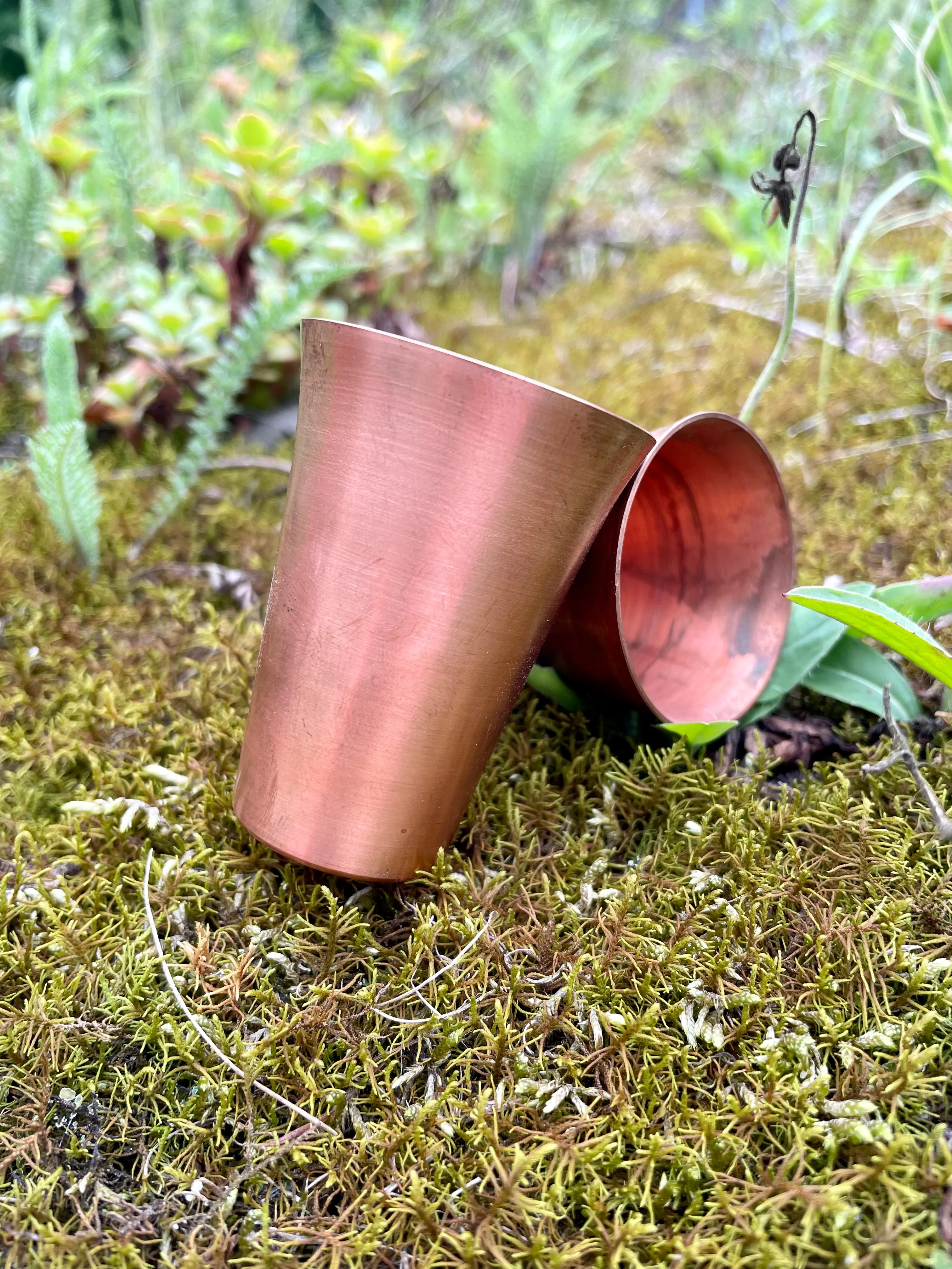 Apex Copper Shot Glasses