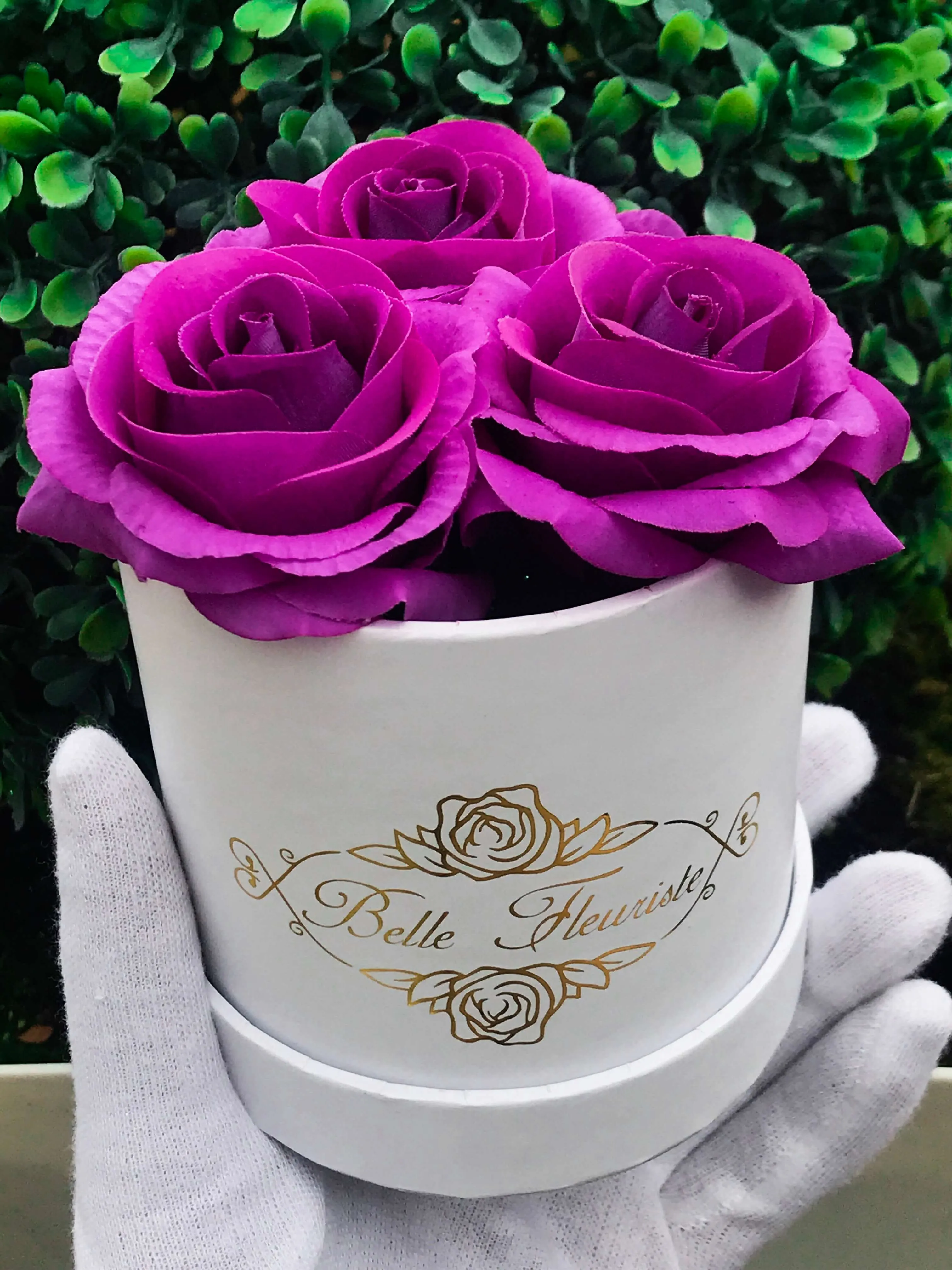 Classic Purple Roses - White Box