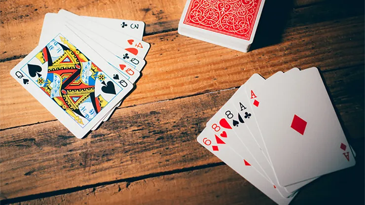 Classic Twins Playing Cards by Expert Playing Cards