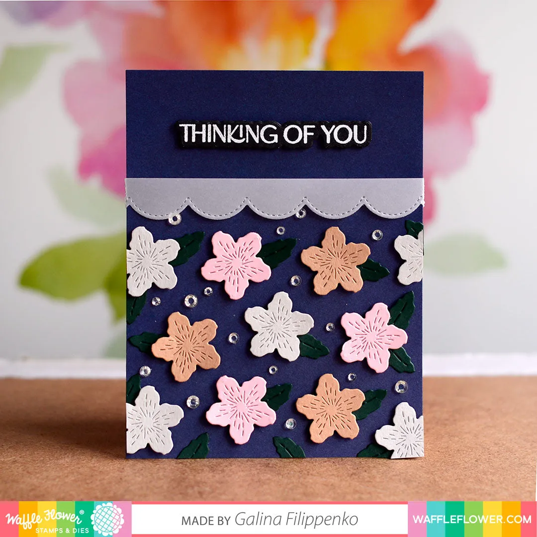 Elegant Sentiments
