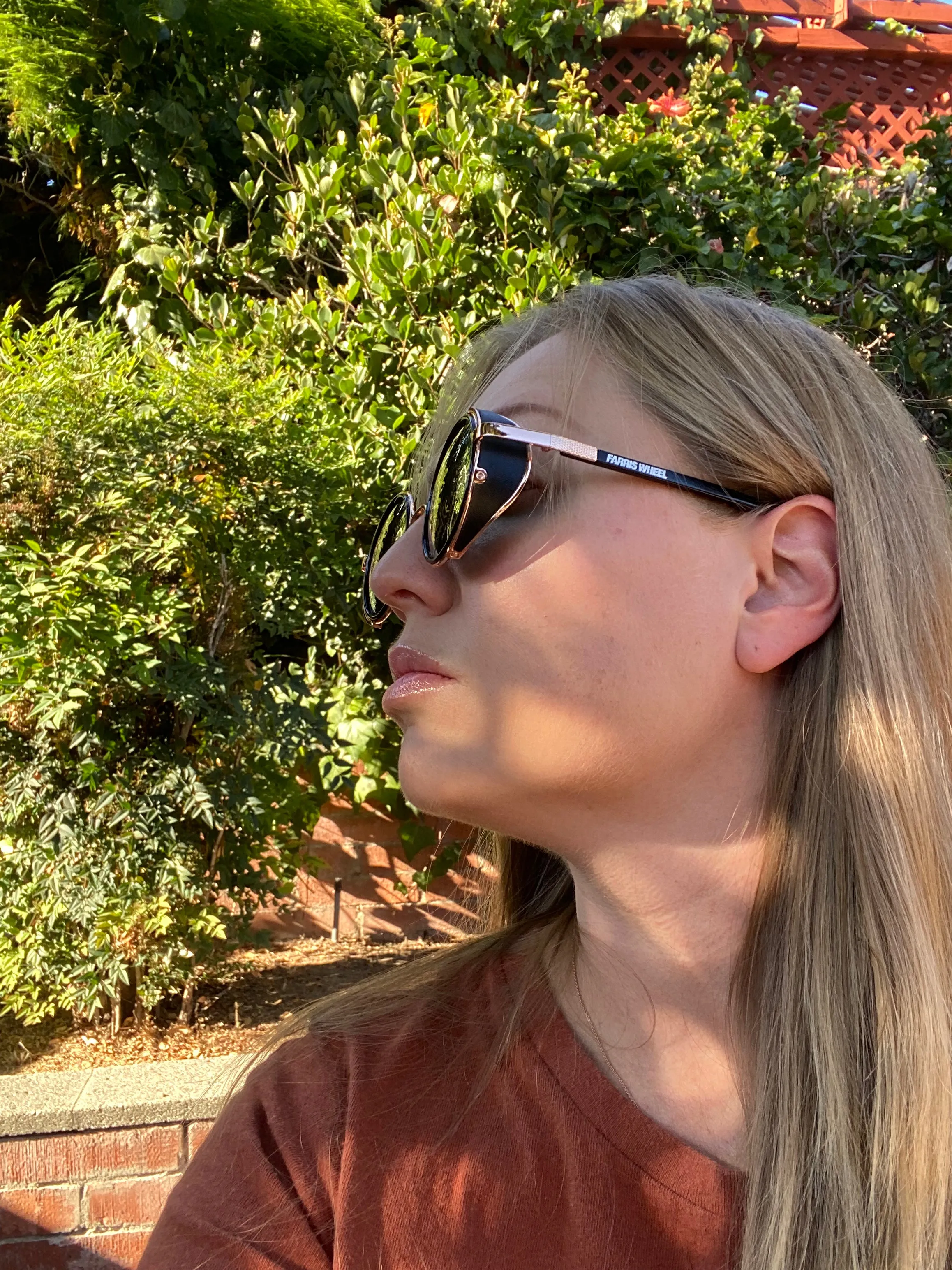 Farris Wheel Vintage Steampunk Unisex Sunglasses