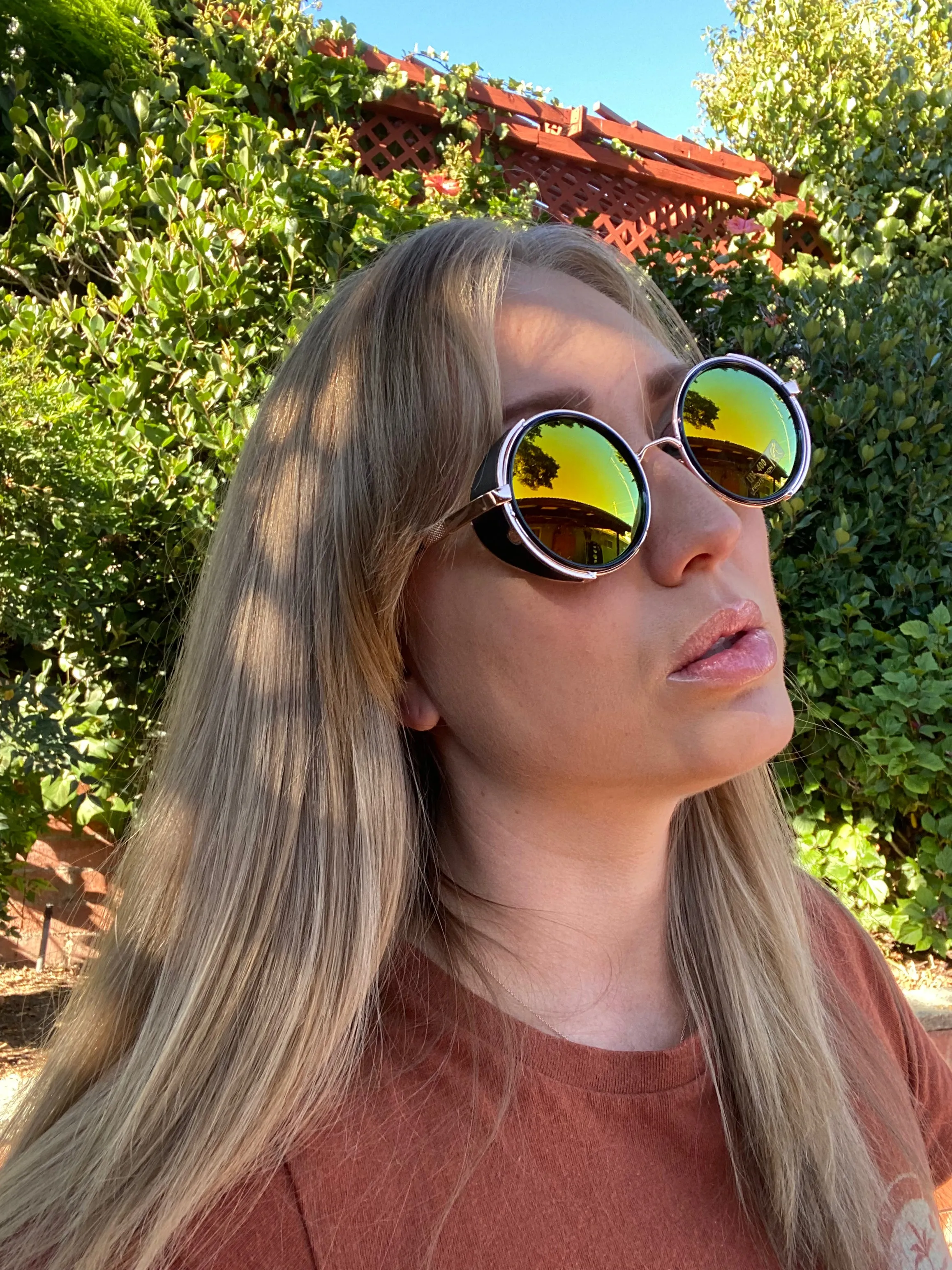 Farris Wheel Vintage Steampunk Unisex Sunglasses