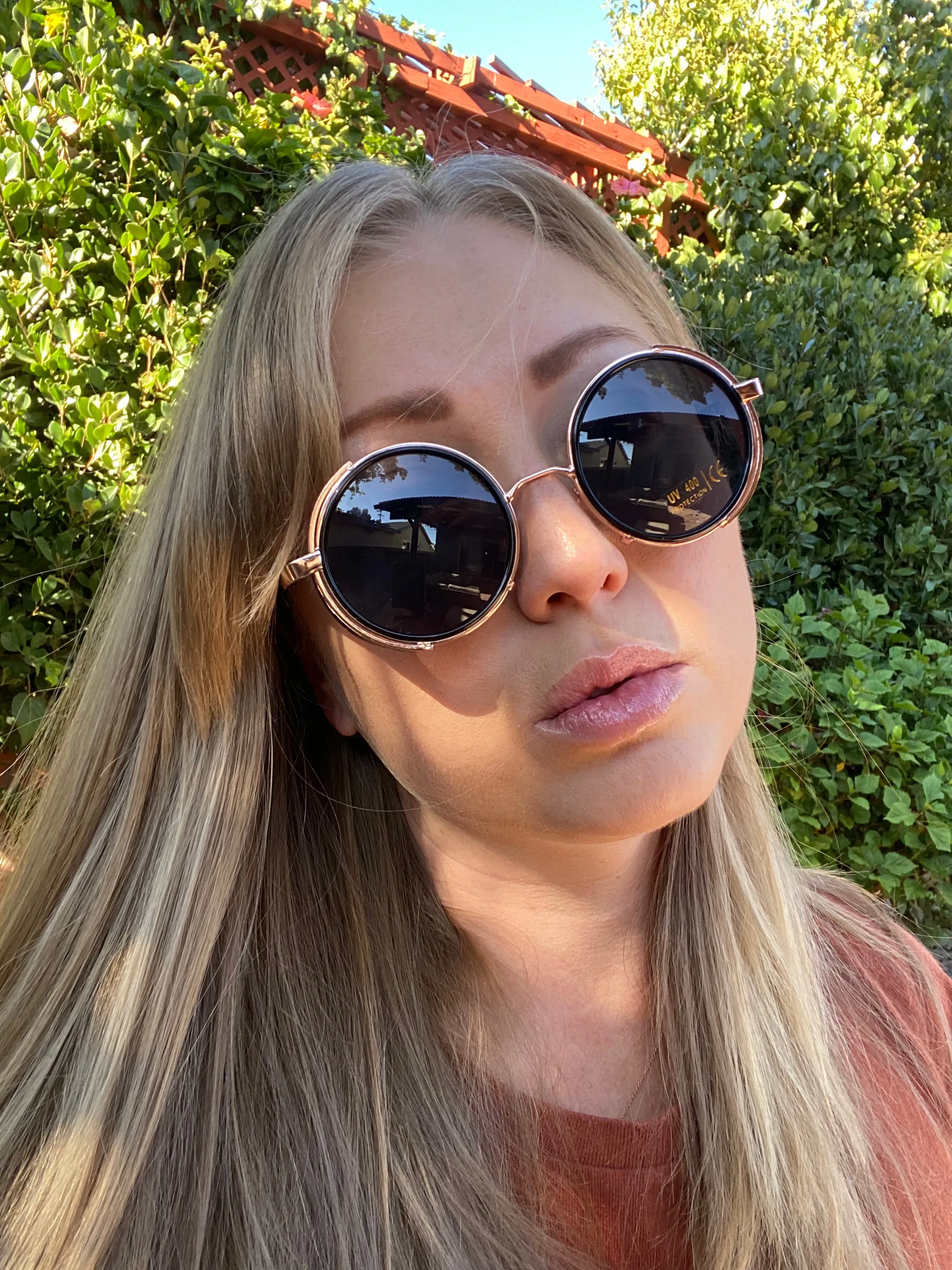 Farris Wheel Vintage Steampunk Unisex Sunglasses
