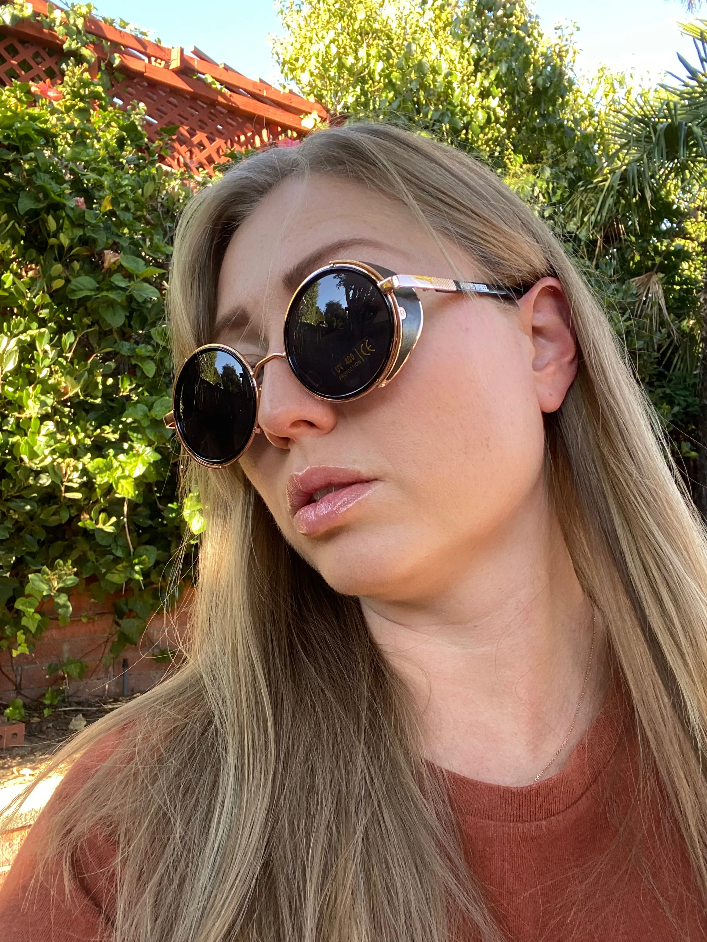 Farris Wheel Vintage Steampunk Unisex Sunglasses