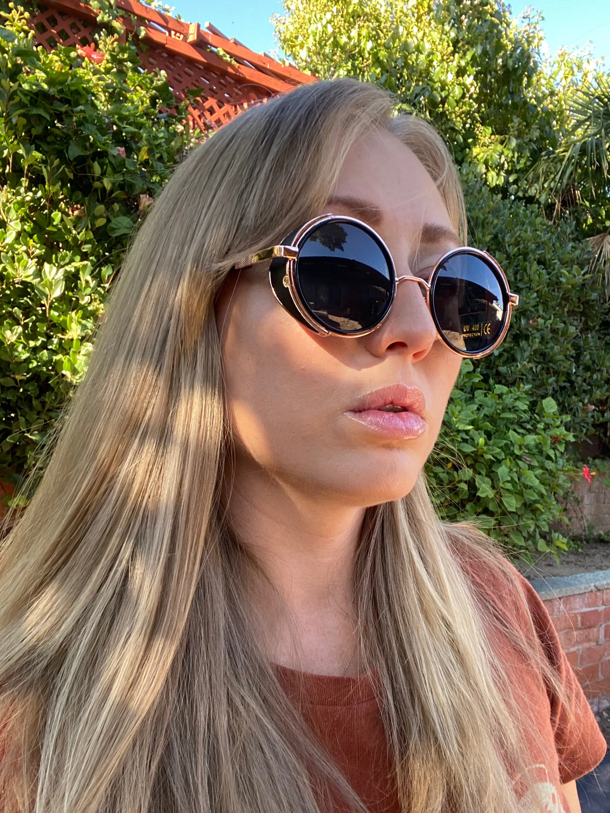 Farris Wheel Vintage Steampunk Unisex Sunglasses