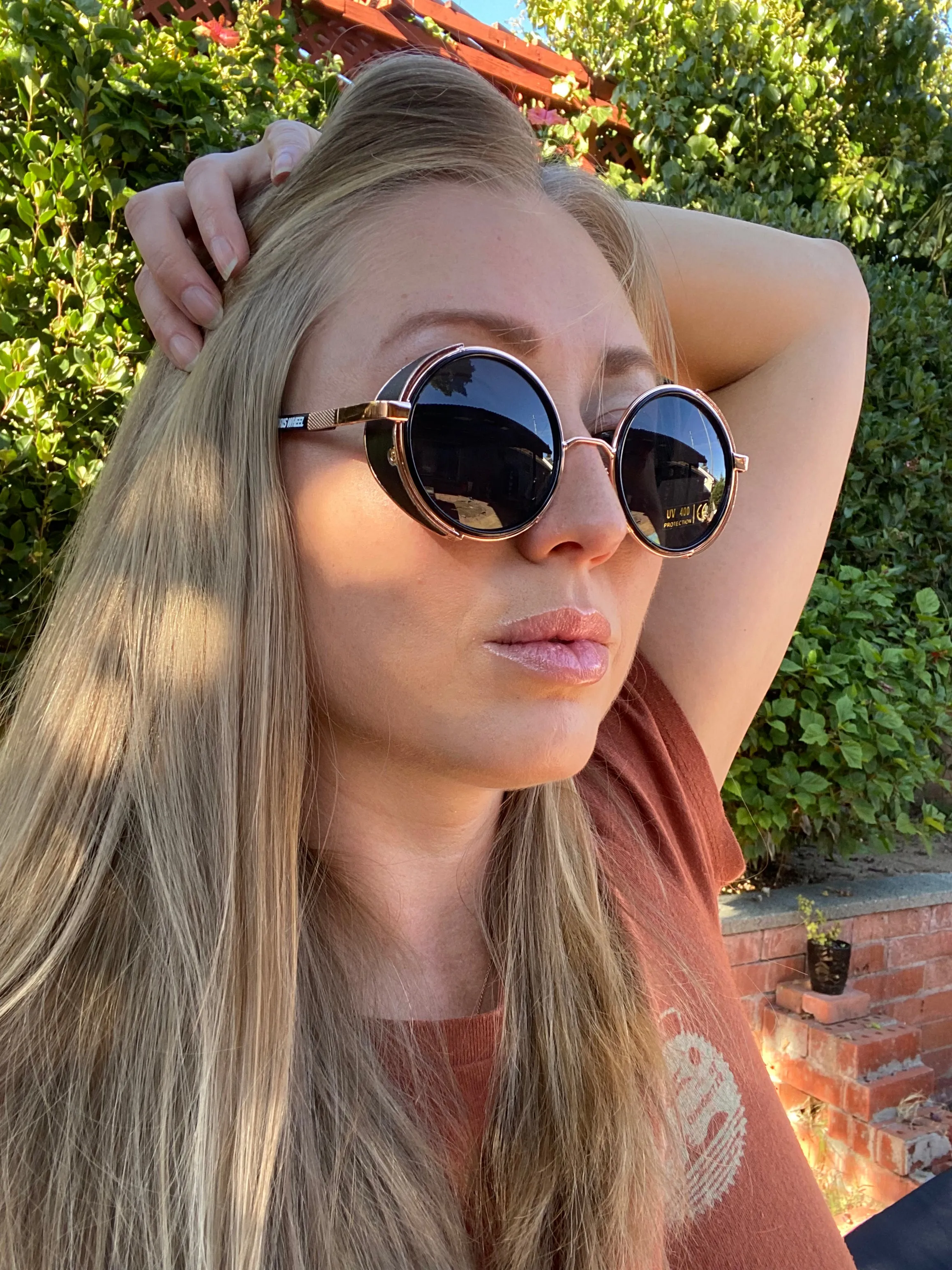 Farris Wheel Vintage Steampunk Unisex Sunglasses