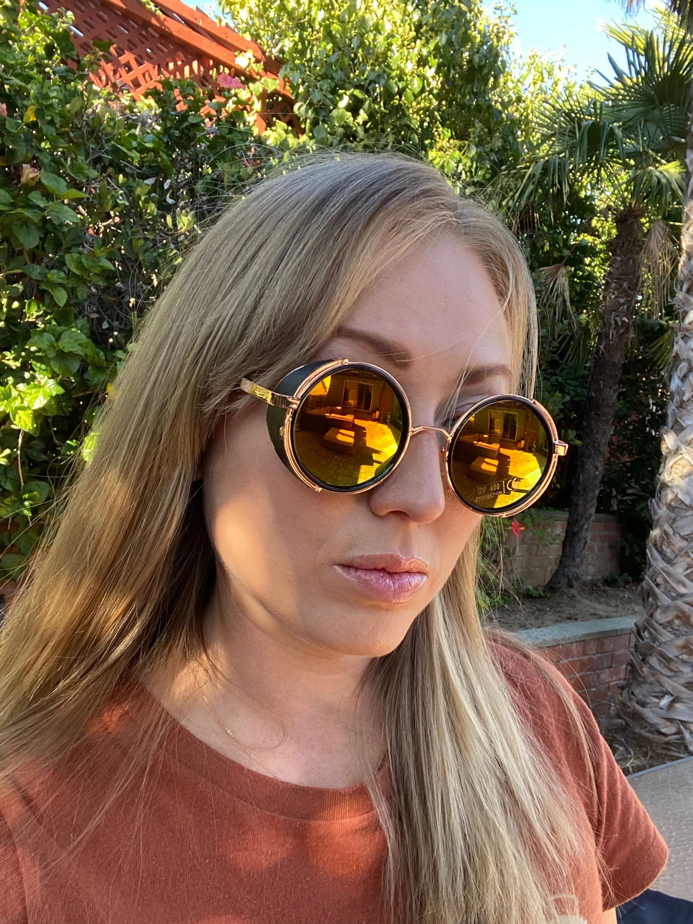 Farris Wheel Vintage Steampunk Unisex Sunglasses