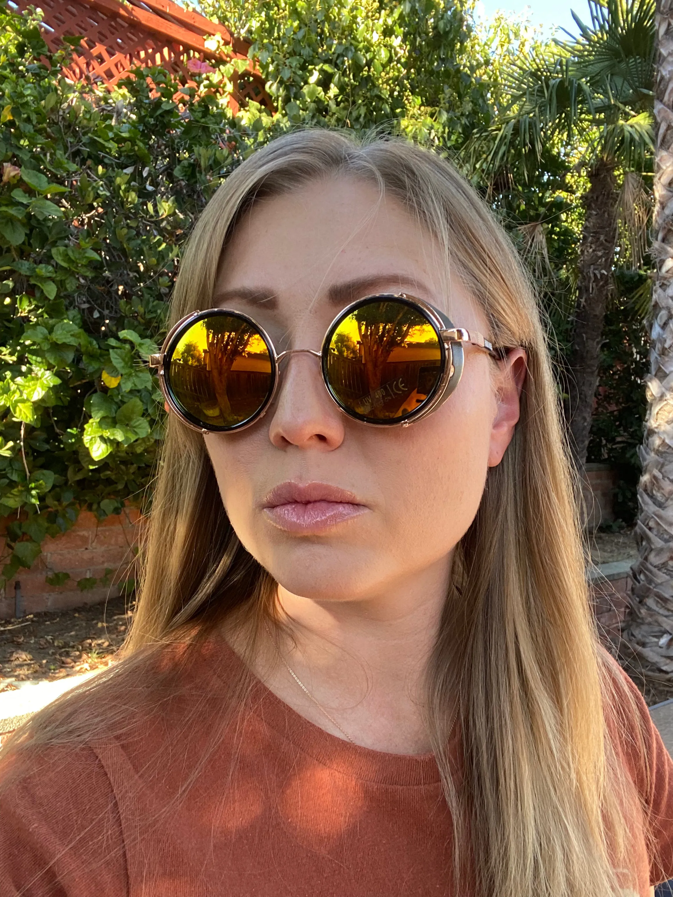 Farris Wheel Vintage Steampunk Unisex Sunglasses