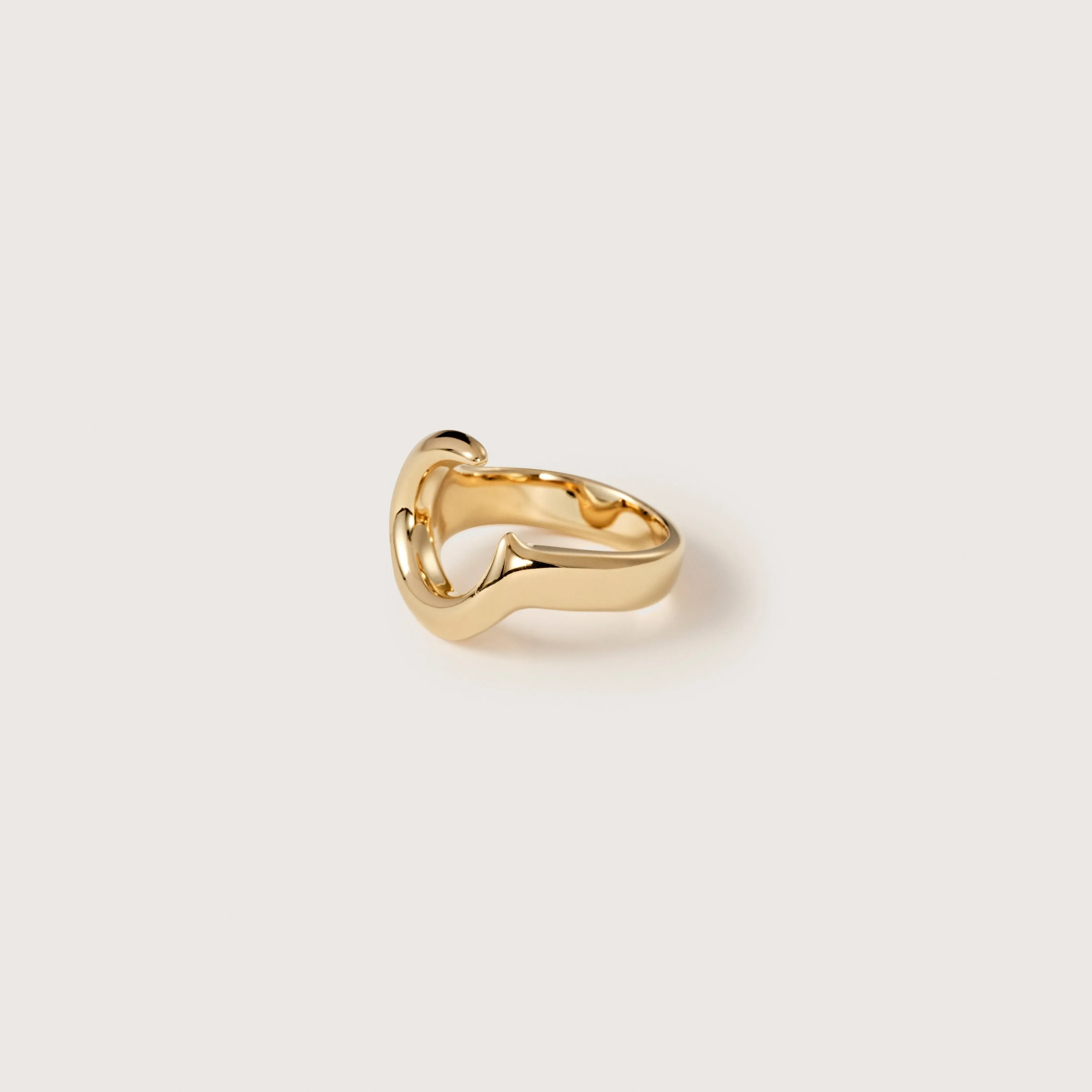 Ferro Ring Small Sample Sale