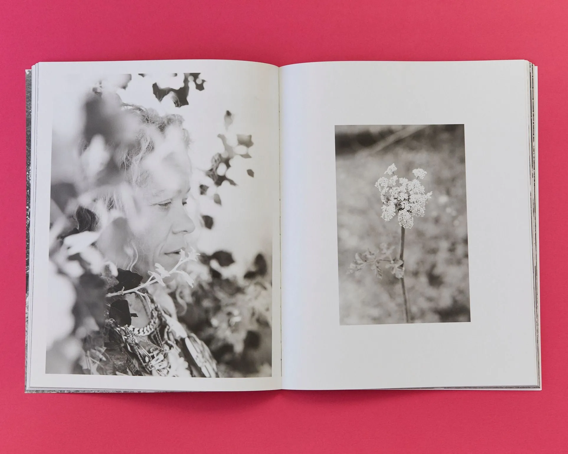 IDEA - Zoë Law - Tara (1st edition of 500)