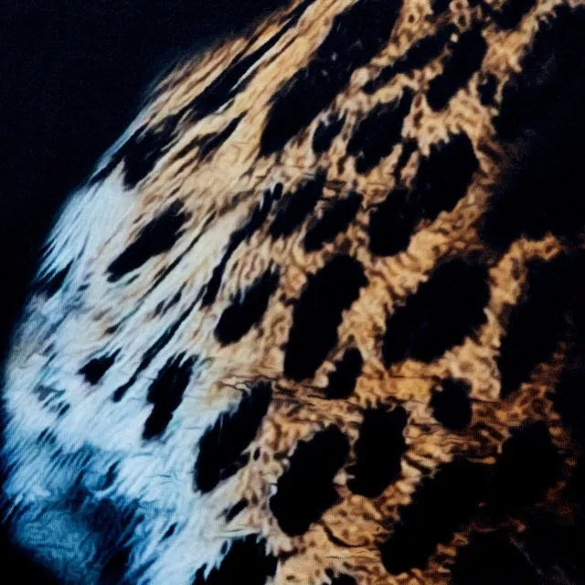 Leopard MVS Long Shirt