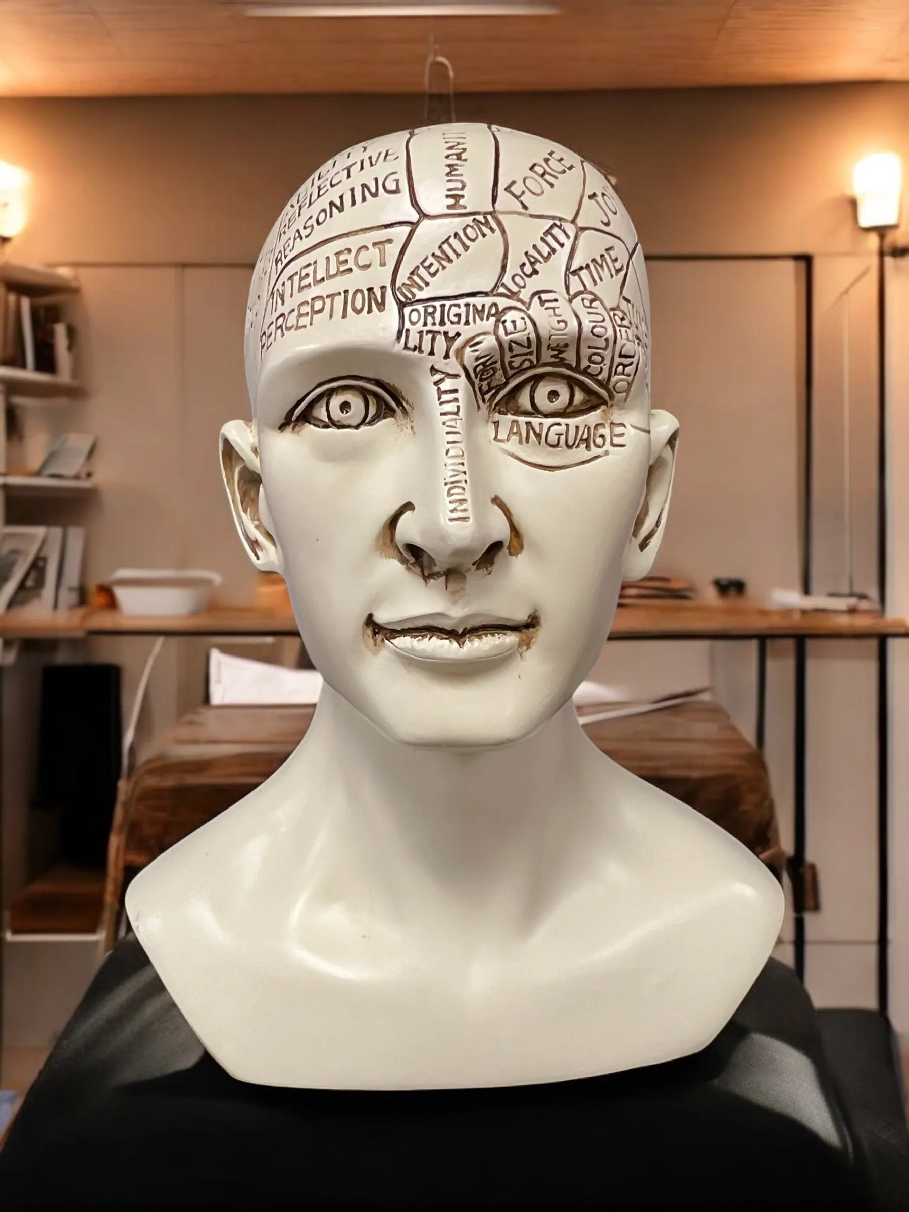 Phrenology Head