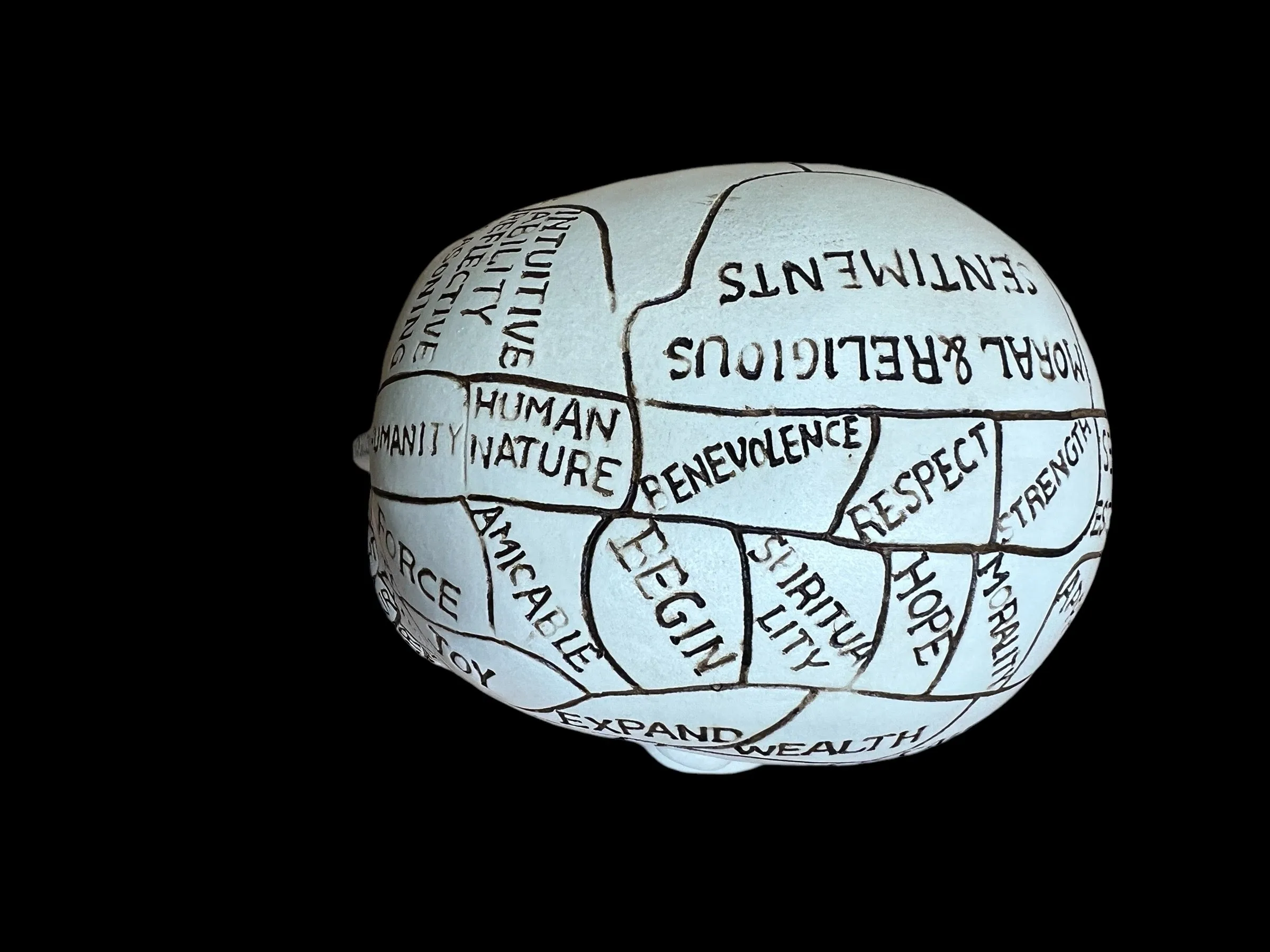 Phrenology Head