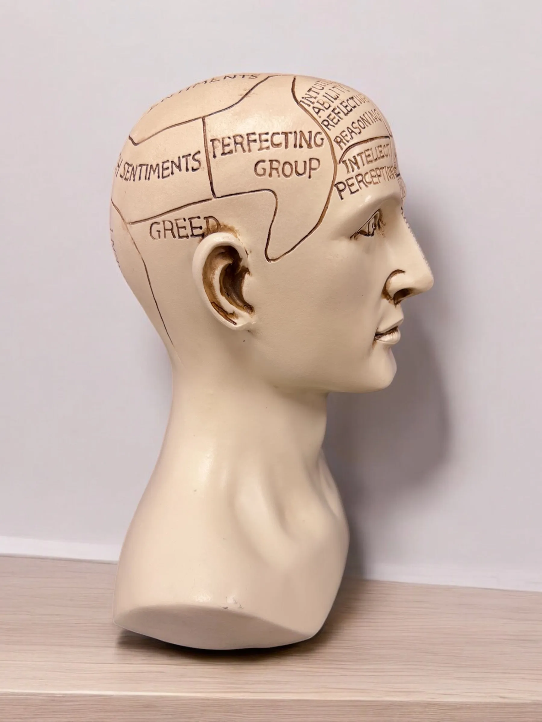 Phrenology Head