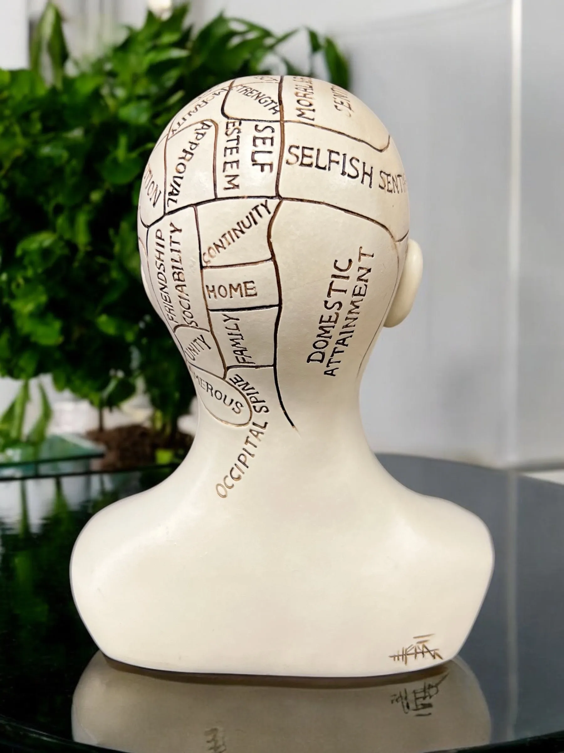 Phrenology Head