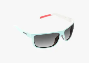Sigs Rx Frame