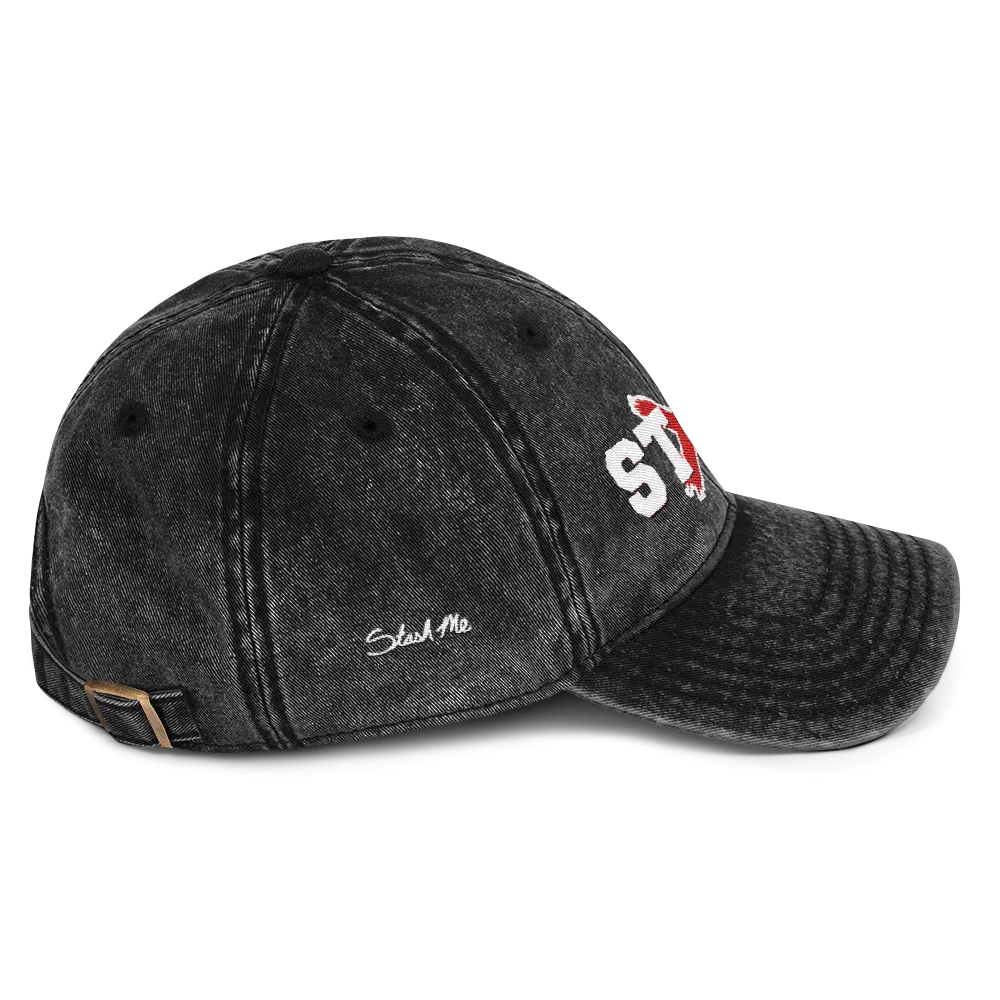Stash Me® Stash X Vintage Dad Hat
