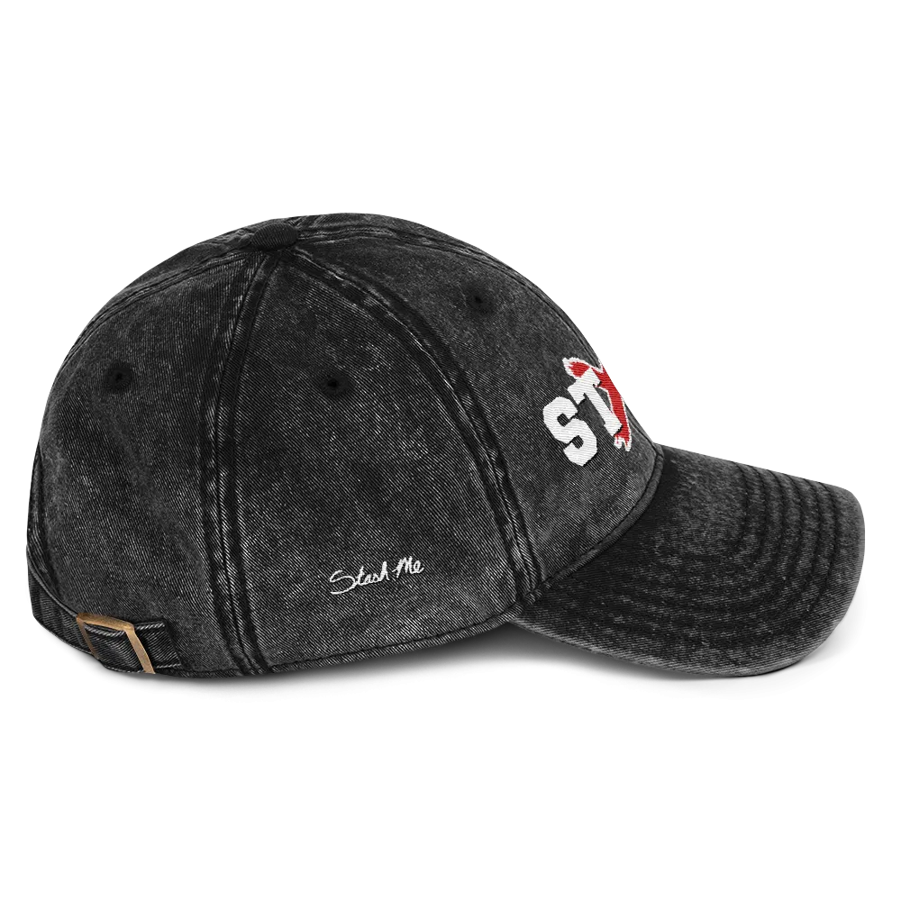 Stash Me® Stash X Vintage Dad Hat