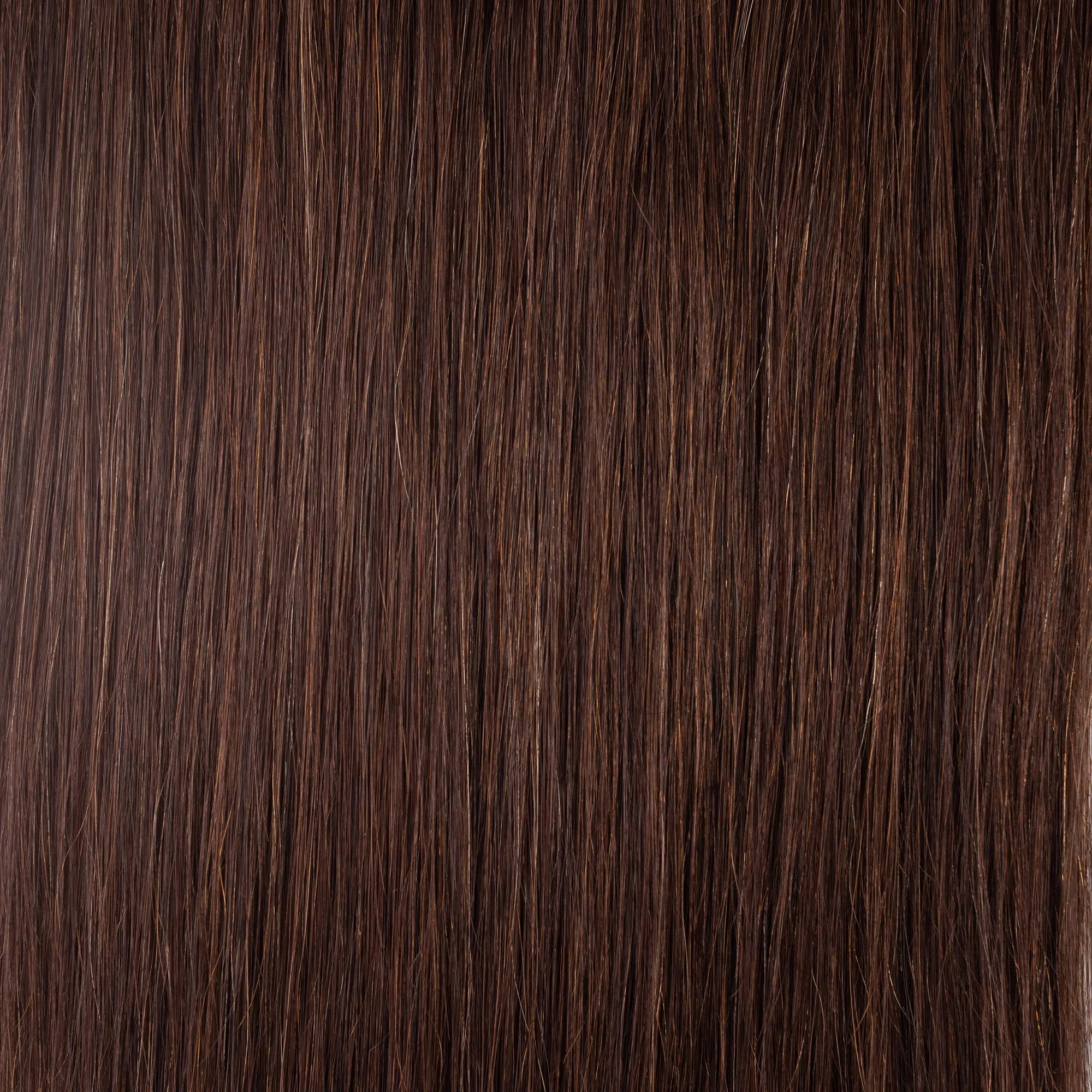Sweet Cola | 24" Classic